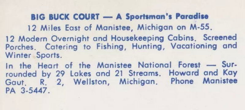 Big Buck Court - Vintage Postcard (newer photo)